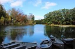 Pet-Friendly Cabin | Pool, Lakes & Golf - Image 3