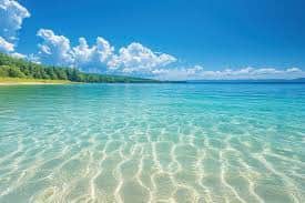 Shanty Creek, pool, beach, pets - Image 2