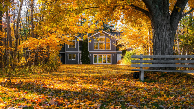 Cozy Up & Save: Why November Is the Perfect Time to Visit Bellaire, Michigan